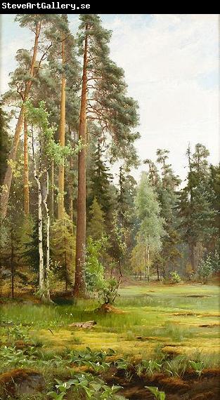 Mauritz Lindstrom Forest Clearing